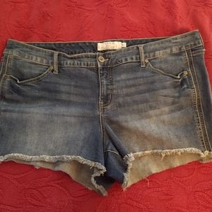 Torrid Shorts